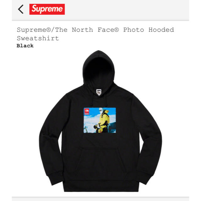 Supreme Photo Hooded Sweatshirt 2