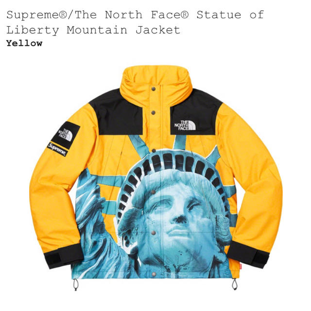 メンズsupreme the north face mountain jacket