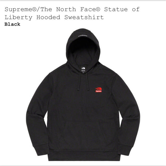 supreme north Face Statue of Libertyトップス