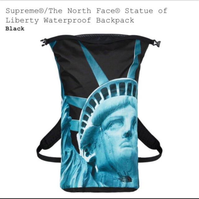 Supreme The North Face Backpack 黒