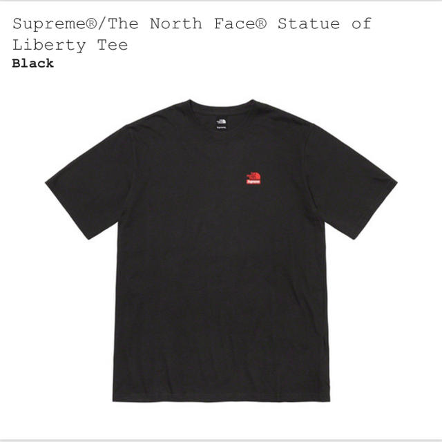 supreme north face Tシャツ M