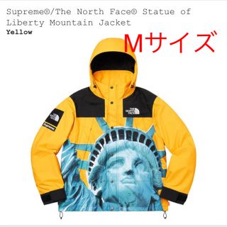 シュプリーム(Supreme)のSupreme The North Face Mountain Jacket(マウンテンパーカー)