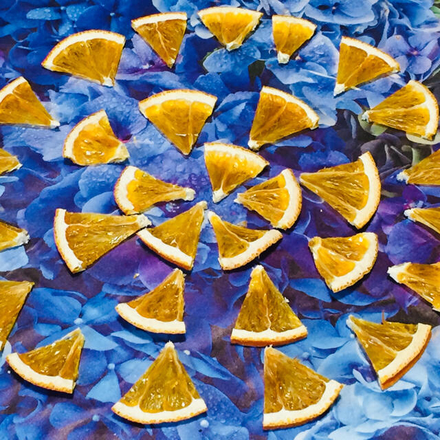 お花屋さんが作ったオレンジチップのドライ 30片set ハンドメイドのフラワー/ガーデン(ドライフラワー)の商品写真