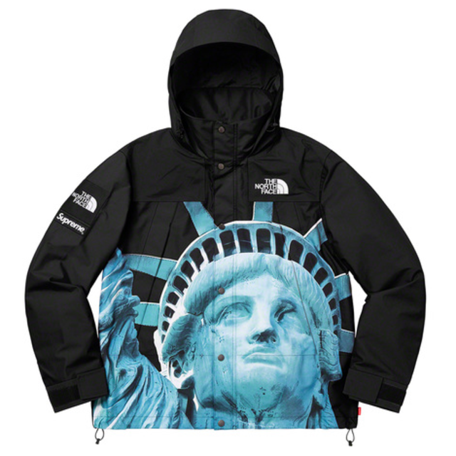 S supreme the north face mountain jacke