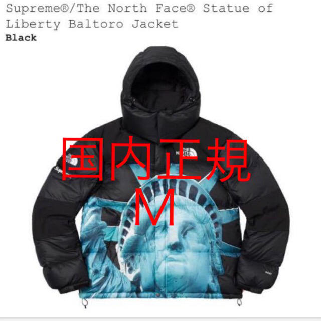 supreme northface バルトロ