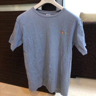 パタゴニア(patagonia)のパタゴニア刺繍T    (Tシャツ/カットソー(七分/長袖))