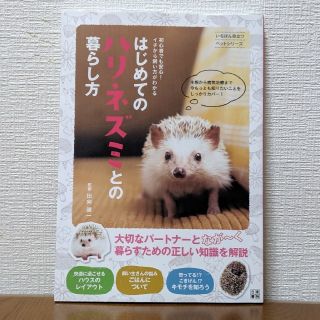 はじめてのハリネズミとの暮らし方(小動物)