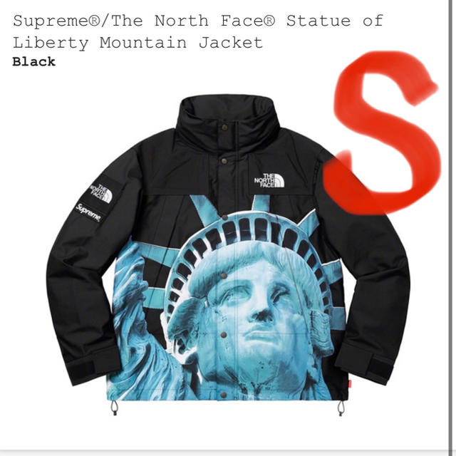 supreme thenorthface mountain jacket