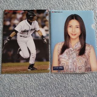 オリックスバファローズ(オリックス・バファローズ)のイチロー、松嶋奈々子 クリアファイル(スポーツ選手)