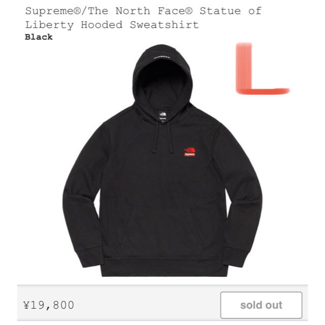 Supreme®/The North Face®  Lサイズ