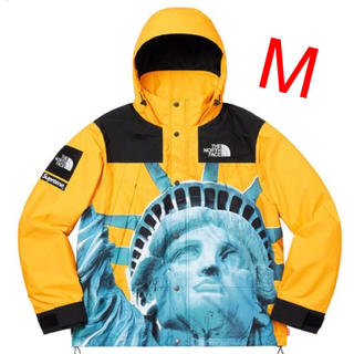 シュプリーム(Supreme)のsupreme  the north face mountain jacket (マウンテンパーカー)