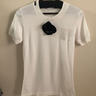 ドルチェアンドガッバーナ(DOLCE&GABBANA)のDOLCE&GABBANAカメリアＴシャツ36(Tシャツ(半袖/袖なし))