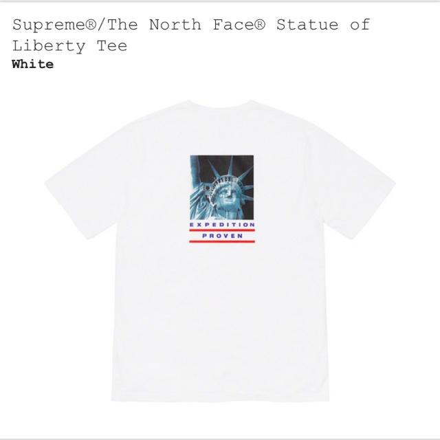送料込み Supreme The North Face tee Tシャツ LTシャツ/カットソー(半袖/袖なし)