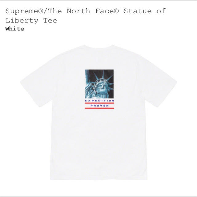 送料込み Supreme The North Face tee Tシャツ L - Tシャツ/カットソー ...