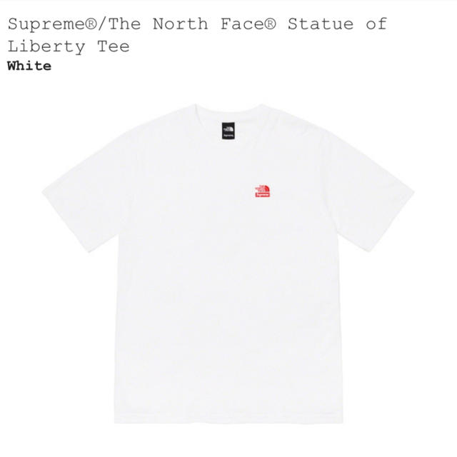 (M)Supreme The North Face Liberty Tee