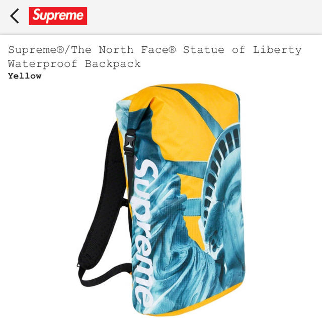 Supreme The North Face Backpack イエロー