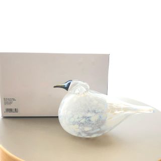 イッタラ(iittala)のSnow Finch Oiva Toikka バード 未使用 箱あり(置物)