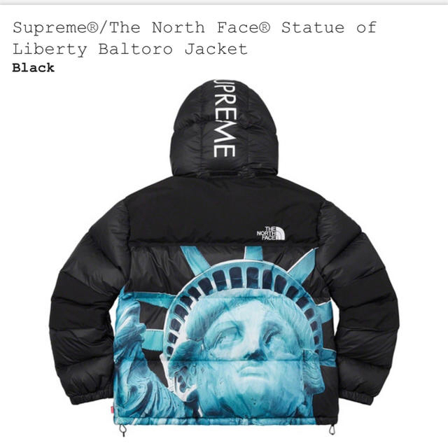 Supreme(シュプリーム)のシュプリーム　Statue of Liberty Baltoro Jacket メンズのジャケット/アウター(ダウンジャケット)の商品写真