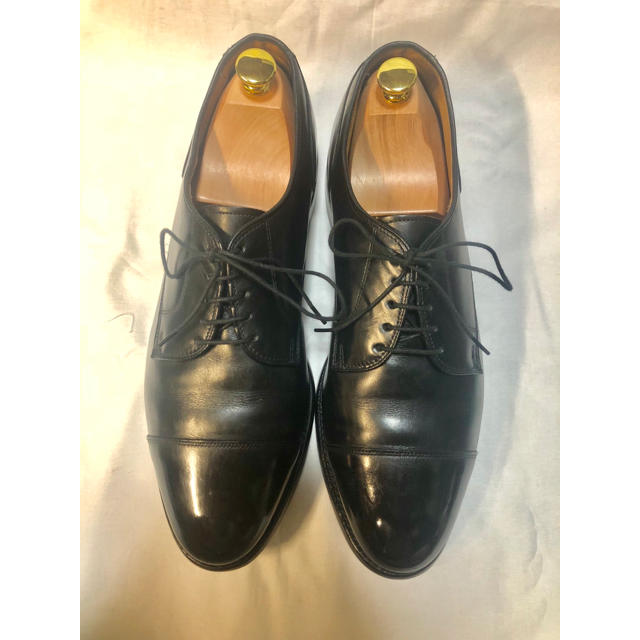 Allen Edmonds 11 D 29cm ストレートチップ