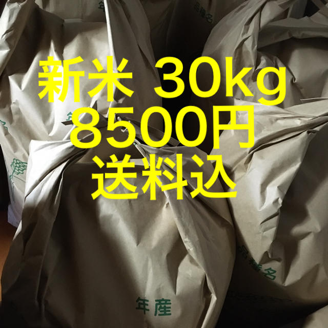 食品/飲料/酒新米 30kg 送料込