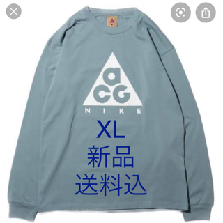 ナイキ(NIKE)のnike acg longsleeb tee(Tシャツ/カットソー(七分/長袖))