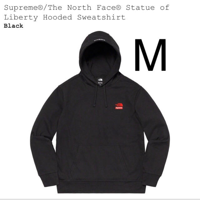 Supreme The North Face Hooded Sweatshirt