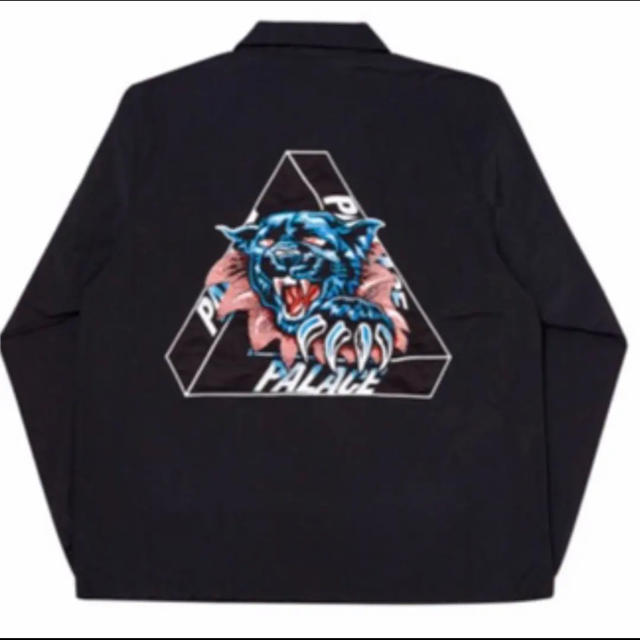 ナイロンジャケットPALACE SKATE BOARDS RIPPED COACH JACKET