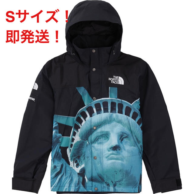 Supreme®/The North Face® Mountain Jacket