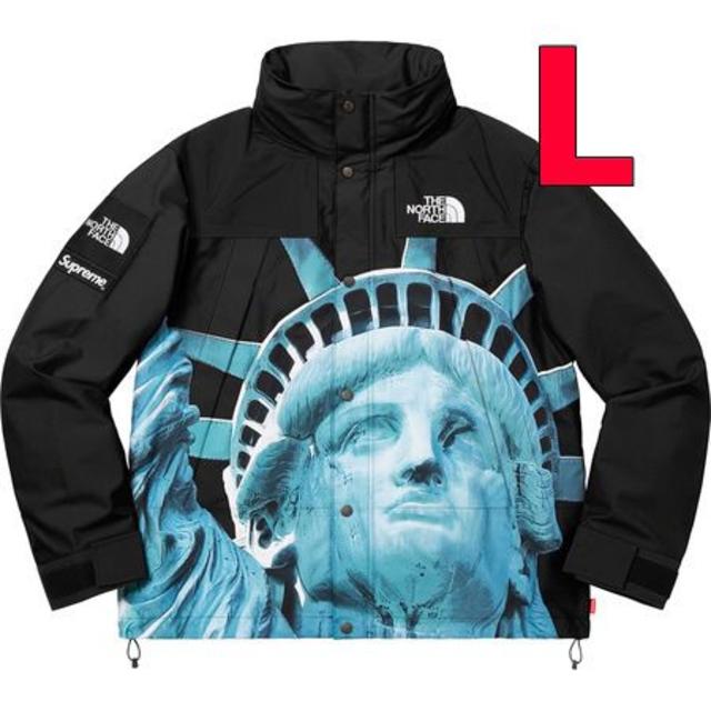 L Supreme The North Face Mountain Jacket