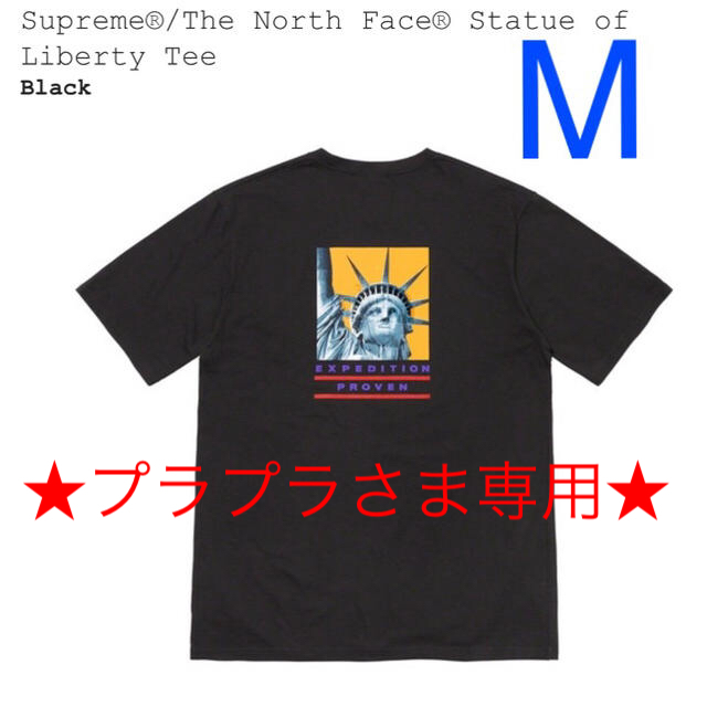 Supreme The North Face Tee(M)