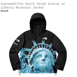 シュプリーム(Supreme)のsupreme north face Mountain Jacket マンパ M(マウンテンパーカー)