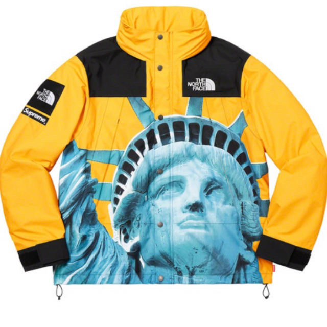 supreme north face Mountain Jacket S