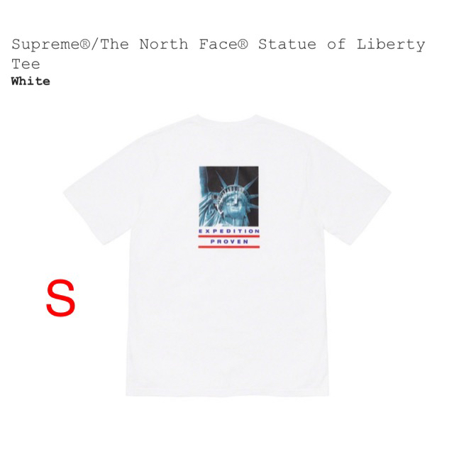 Supreme The North Face Statue of Liberty - Tシャツ/カットソー(半袖 ...
