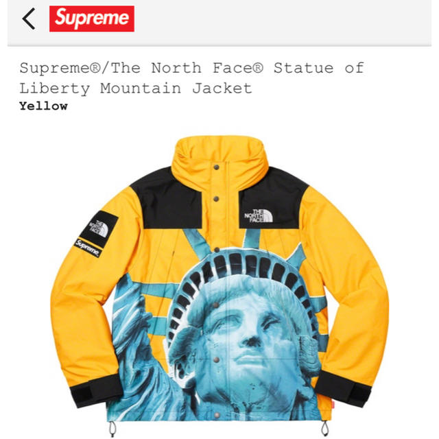 Supreme - Supreme/The North Face Mountain Jacket