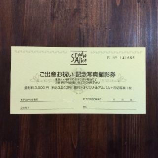 rian♡様用　スタジオアリス　記念写真撮影券　出産　無料(その他)