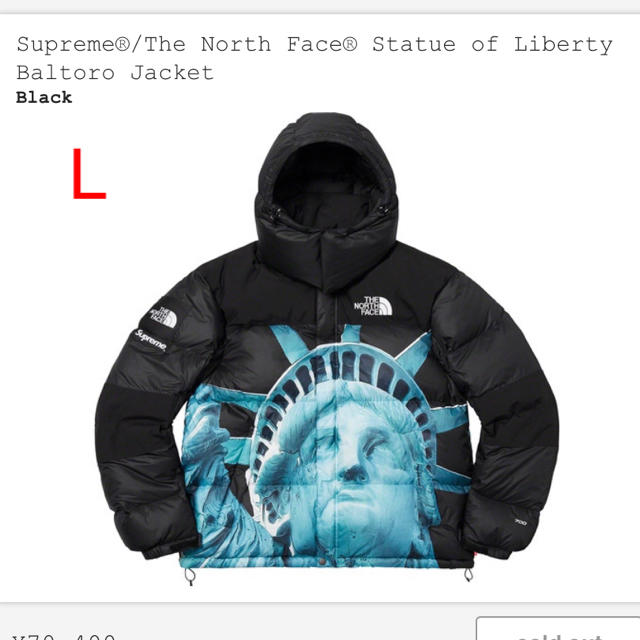 supreme THE NORTH FACE バルトロ　L