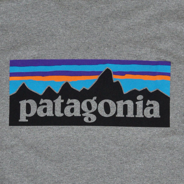 ◆PATAGONIA P-6 ロゴ ロングTシャツ / グレー Sサイズ 2