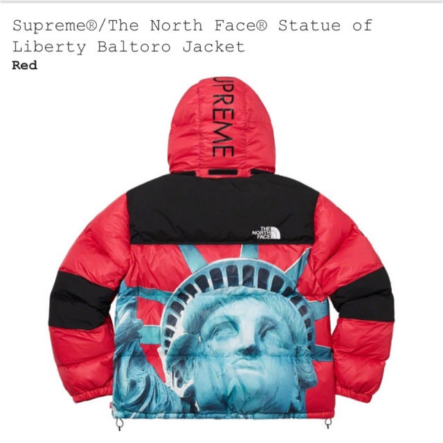 supreme north face 19fw baltoro jacket