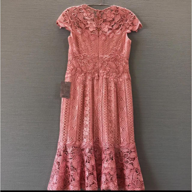 TADASHI SHOJI(タダシショウジ)の新品タグ付き tadashi shoji プチサイズ レースワンピース ドレス レディースのワンピース(ひざ丈ワンピース)の商品写真