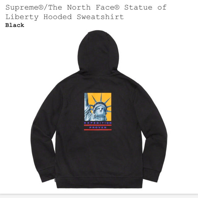 supreme north face hooded Tシャツ set