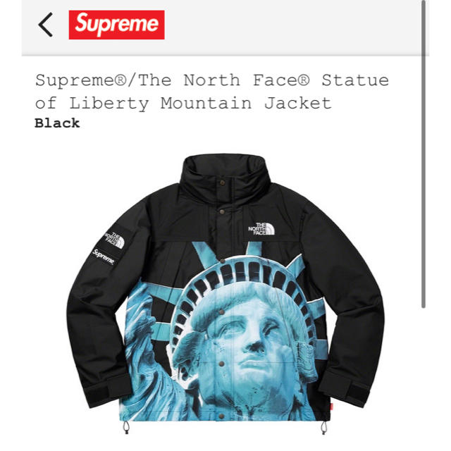 Supreme(シュプリーム)のsupreme the north face mountain jacket S メンズのジャケット/アウター(マウンテンパーカー)の商品写真