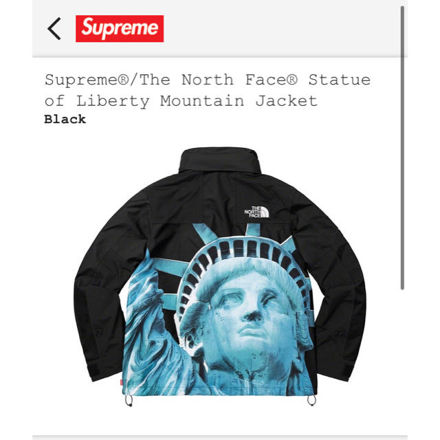 ジャケット/アウターsupreme the north face mountain jacket S