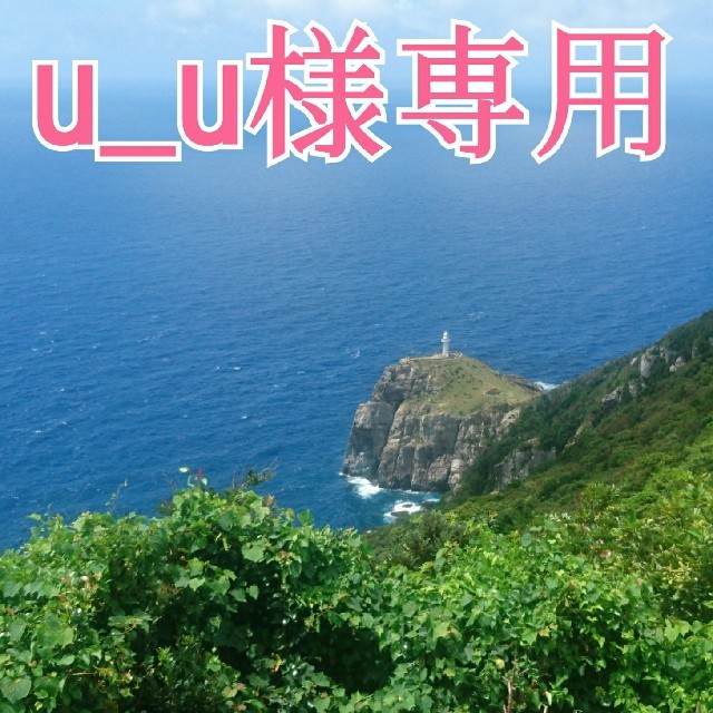 「u_u様専用❗」無農薬❗《里芋&シルクスィート》五島列島より 食品/飲料/酒の食品(野菜)の商品写真