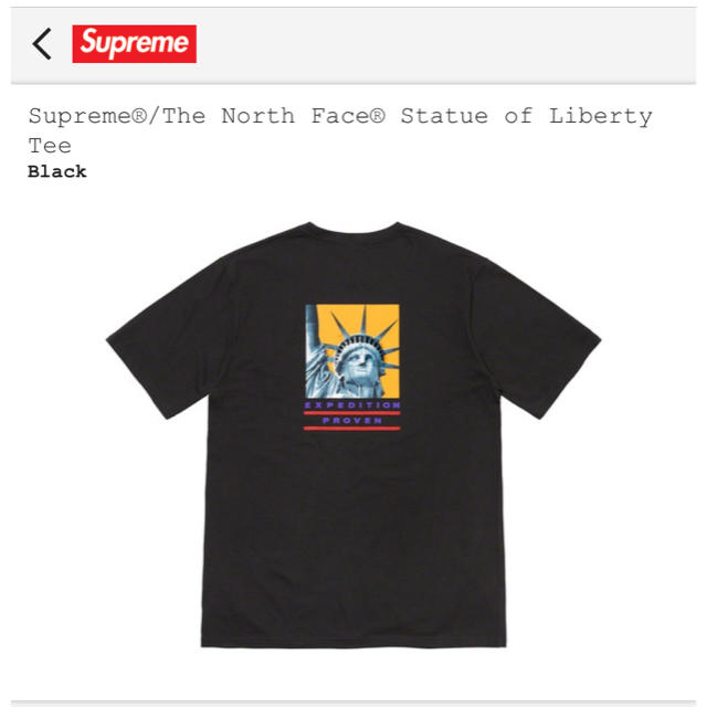 黒M Supreme The North Face  Tシャツ