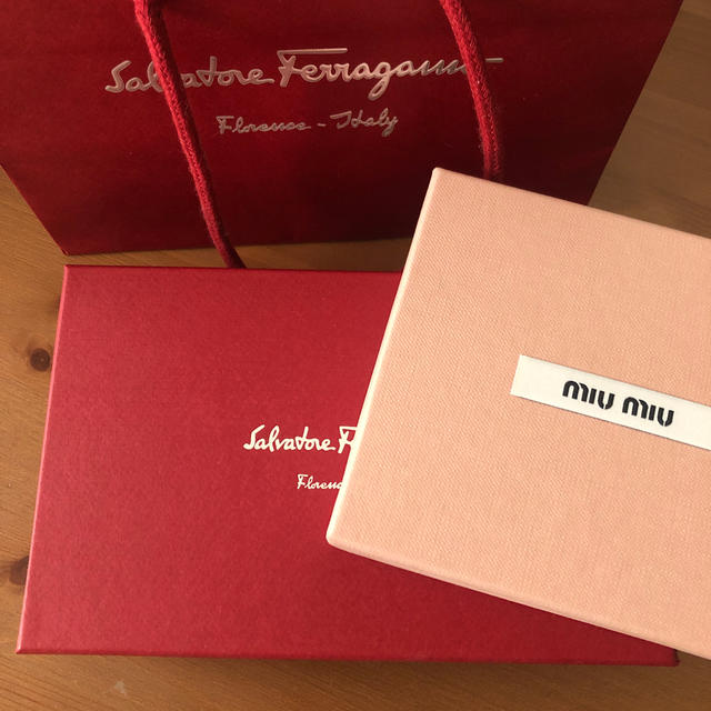 Salvatore Ferragamo(サルヴァトーレフェラガモ)のショップバック  レディースのバッグ(ショップ袋)の商品写真