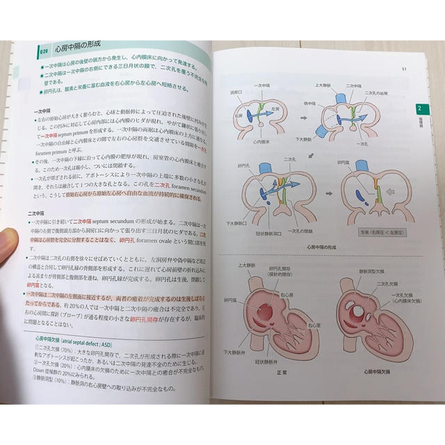 新発生学 Qシリーズ 図解 薬学部 エンタメ/ホビーの本(語学/参考書)の商品写真