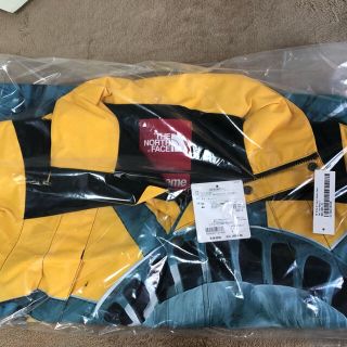 シュプリーム(Supreme)のStatue of Liberty Mountain Jacket(マウンテンパーカー)