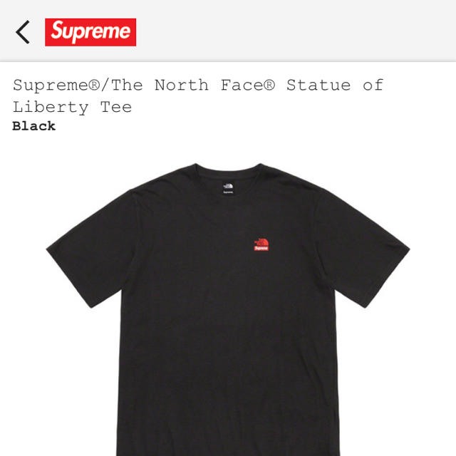 トップスSupreme ノースフェイス コラボT