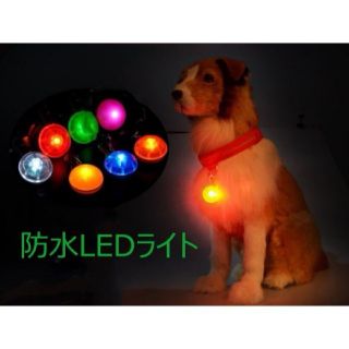 新品☆ワンちゃんの散歩にオススメ！クリップ付LEDライト(犬)