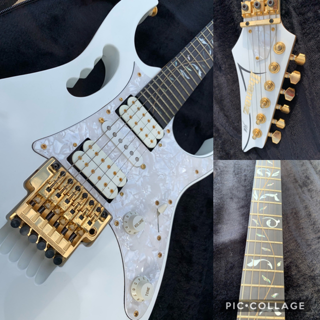 Ibanez Shadows Fall シグネチャーモデル ギター